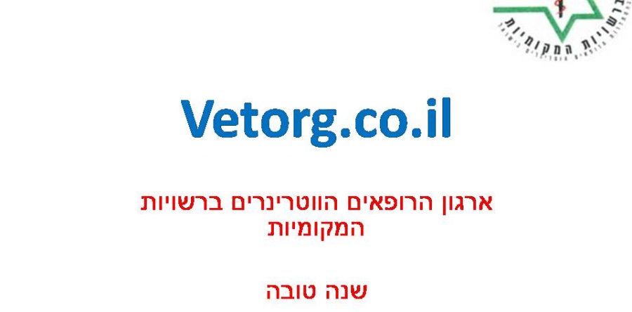 התחדשנו לרגל השנה החדשה